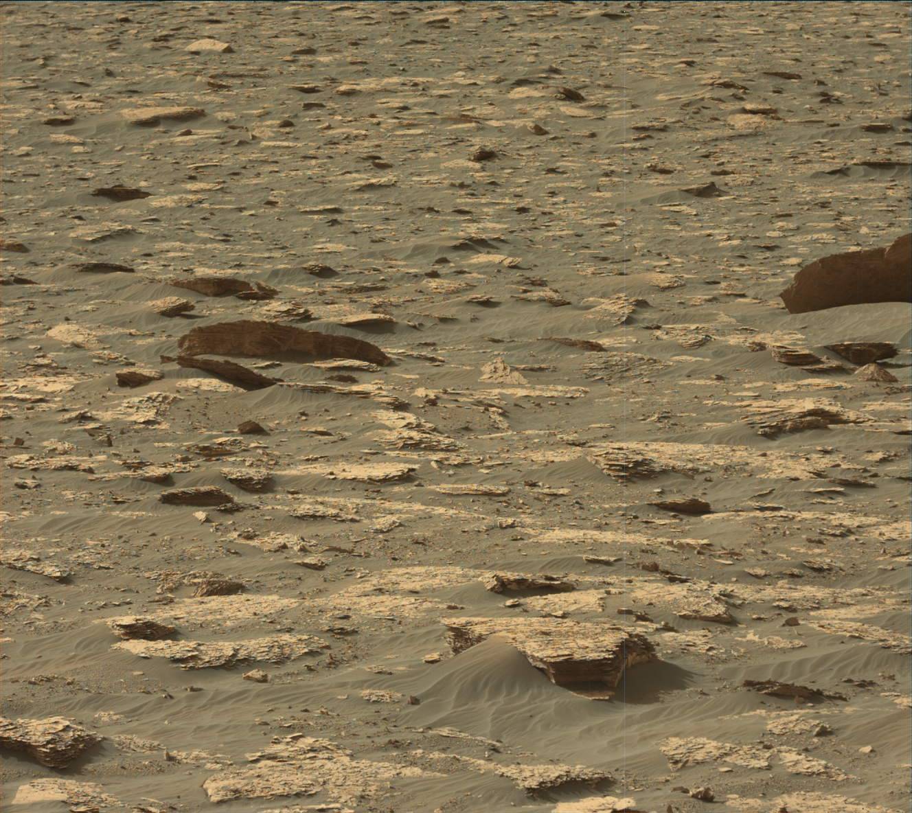 Nasa's Mars rover Curiosity acquired this image using its Mast Camera (Mastcam) on Sol 2045