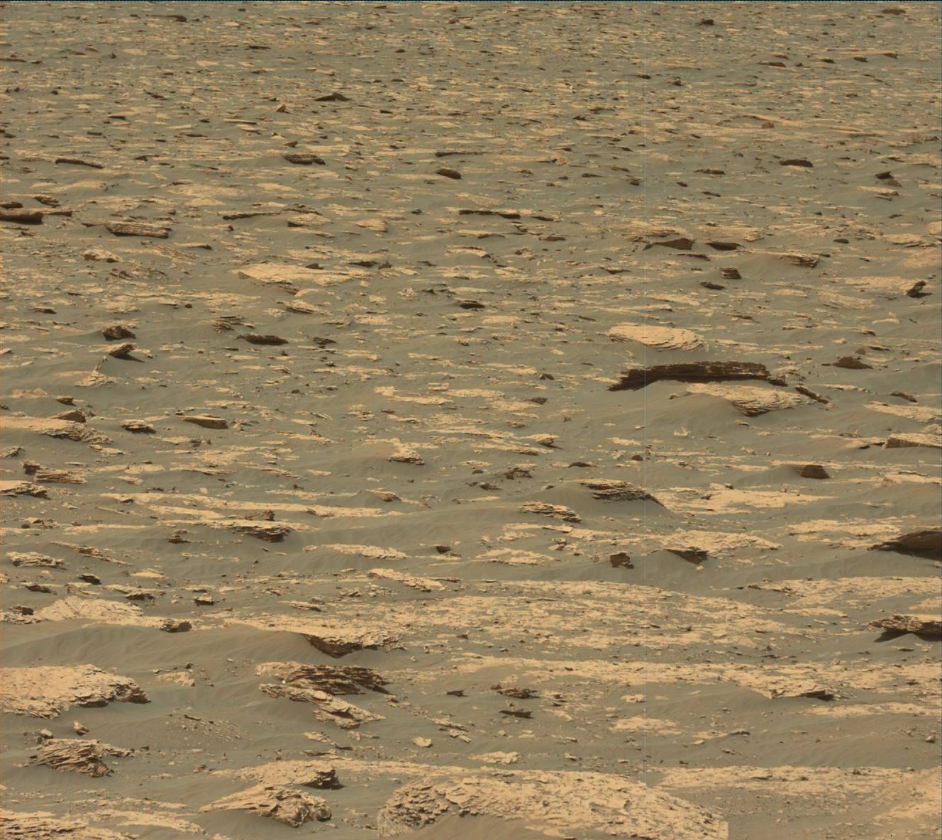 Nasa's Mars rover Curiosity acquired this image using its Mast Camera (Mastcam) on Sol 2047