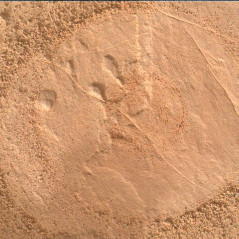 Nasa's Mars rover Curiosity acquired this image using its Mars Hand Lens Imager (MAHLI) on Sol 2049