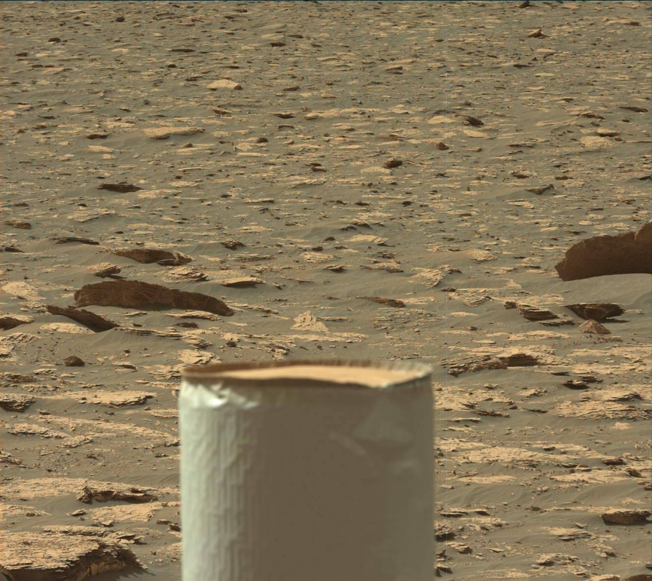 Nasa's Mars rover Curiosity acquired this image using its Mast Camera (Mastcam) on Sol 2051