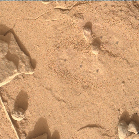 Nasa's Mars rover Curiosity acquired this image using its Mars Hand Lens Imager (MAHLI) on Sol 2055