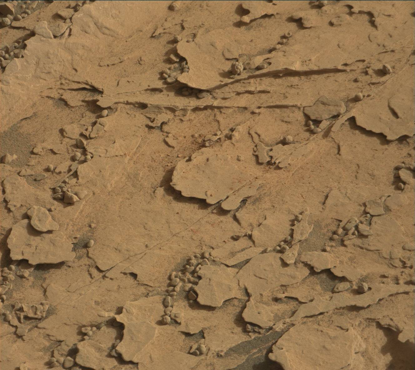 Nasa's Mars rover Curiosity acquired this image using its Mast Camera (Mastcam) on Sol 2061