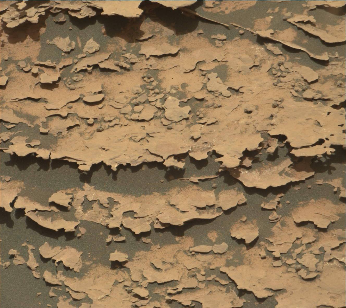 Nasa's Mars rover Curiosity acquired this image using its Mast Camera (Mastcam) on Sol 2063