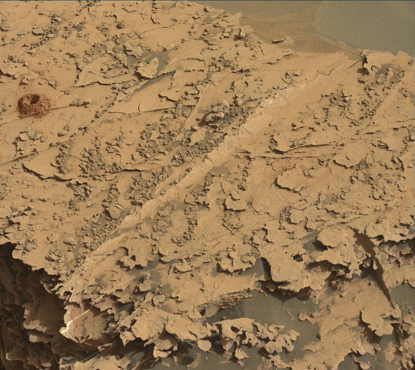 Nasa's Mars rover Curiosity acquired this image using its Mast Camera (Mastcam) on Sol 2064