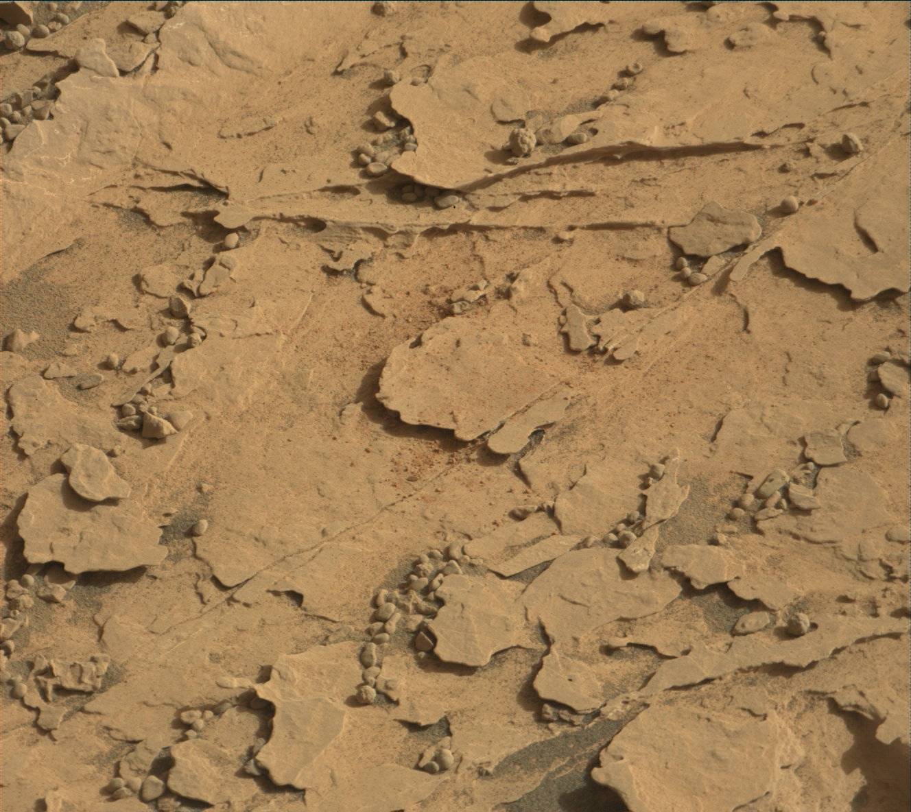 Nasa's Mars rover Curiosity acquired this image using its Mast Camera (Mastcam) on Sol 2064