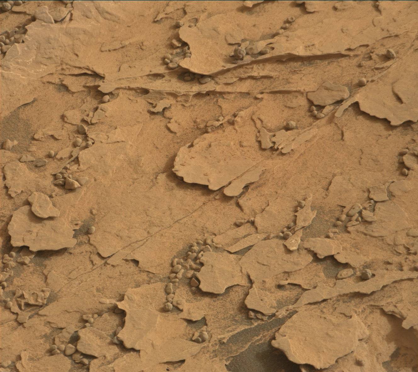 Nasa's Mars rover Curiosity acquired this image using its Mast Camera (Mastcam) on Sol 2078