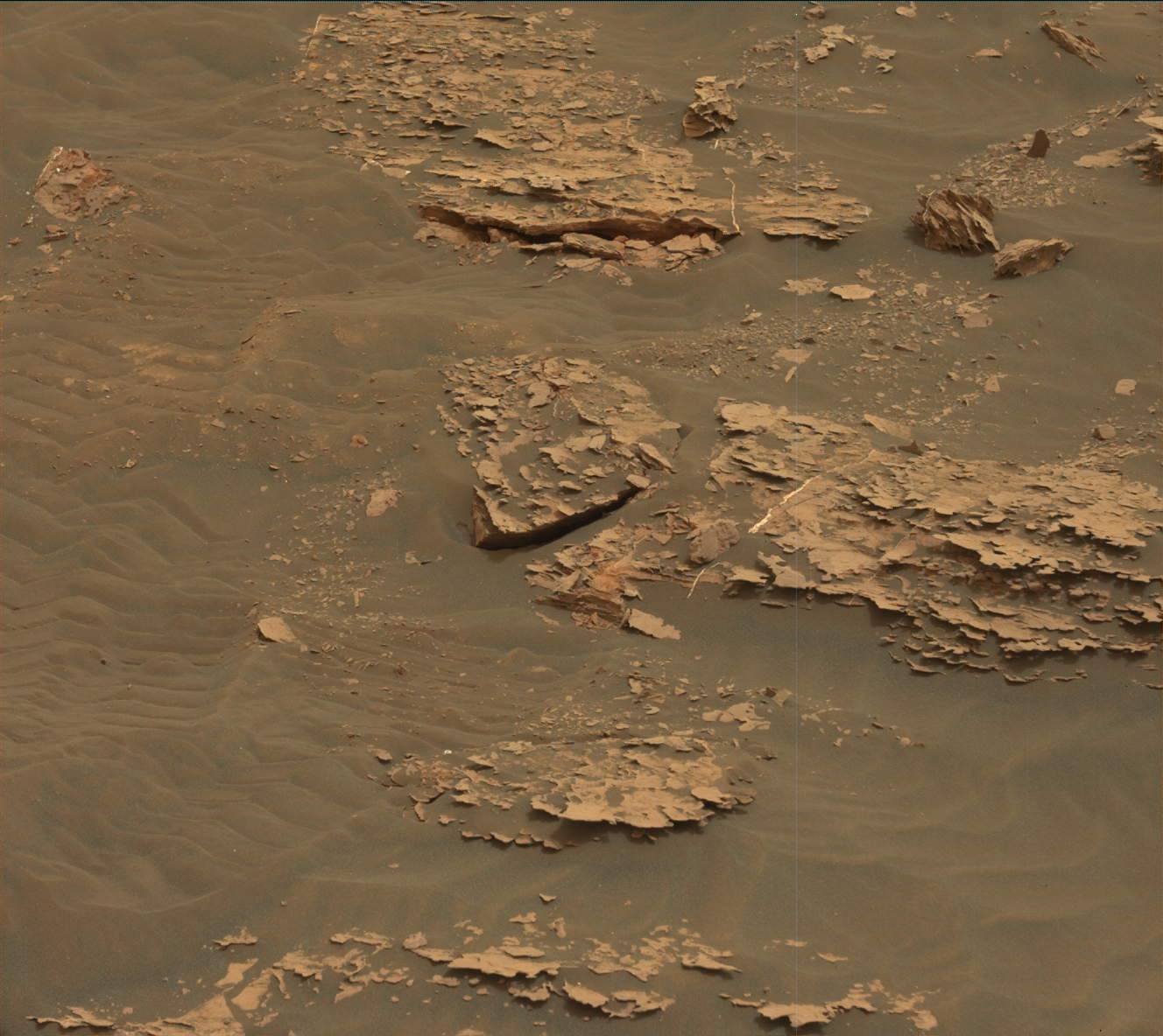 Nasa's Mars rover Curiosity acquired this image using its Mast Camera (Mastcam) on Sol 2081