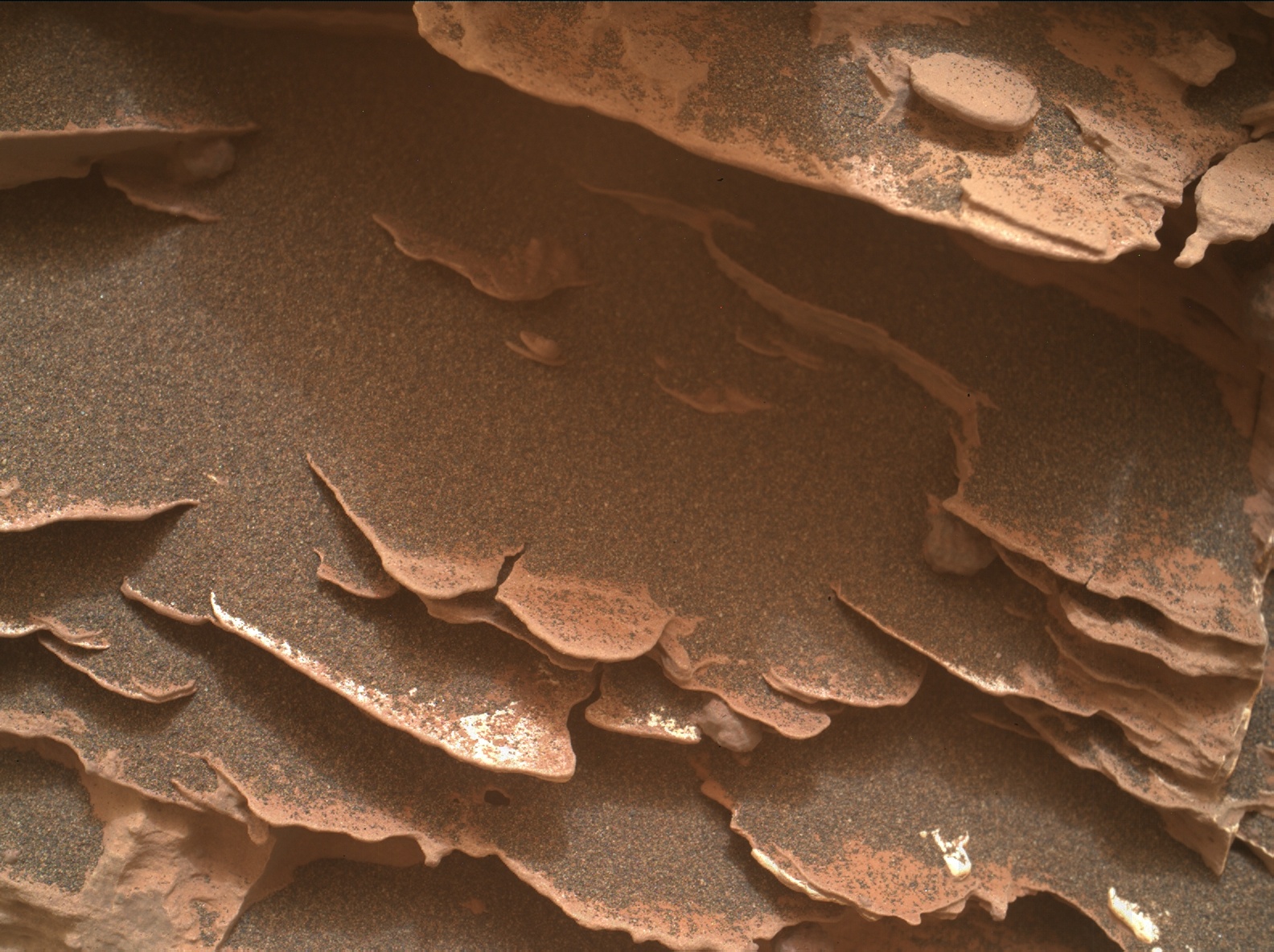 Nasa's Mars rover Curiosity acquired this image using its Mars Hand Lens Imager (MAHLI) on Sol 2082