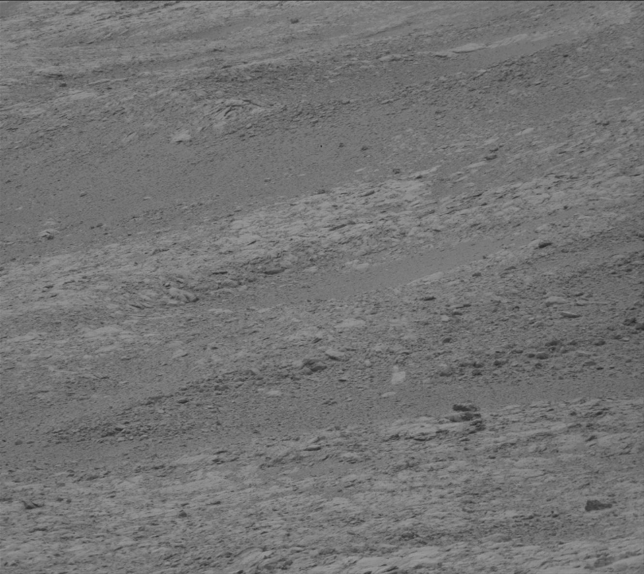 Nasa's Mars rover Curiosity acquired this image using its Mast Camera (Mastcam) on Sol 2100