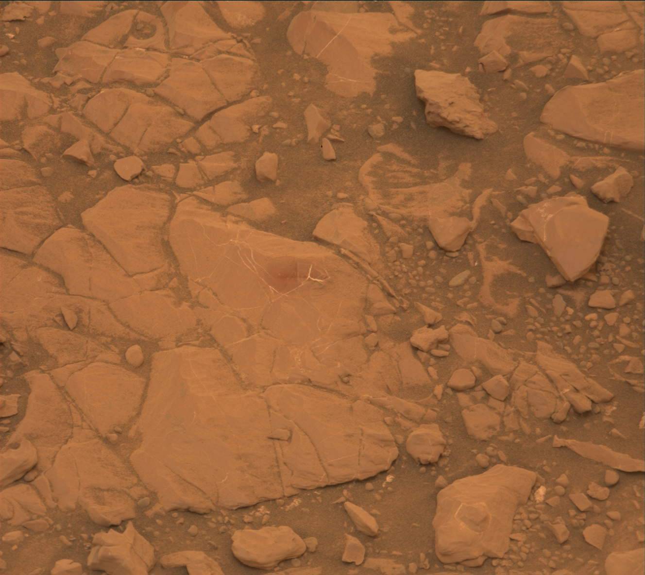 Nasa's Mars rover Curiosity acquired this image using its Mast Camera (Mastcam) on Sol 2107