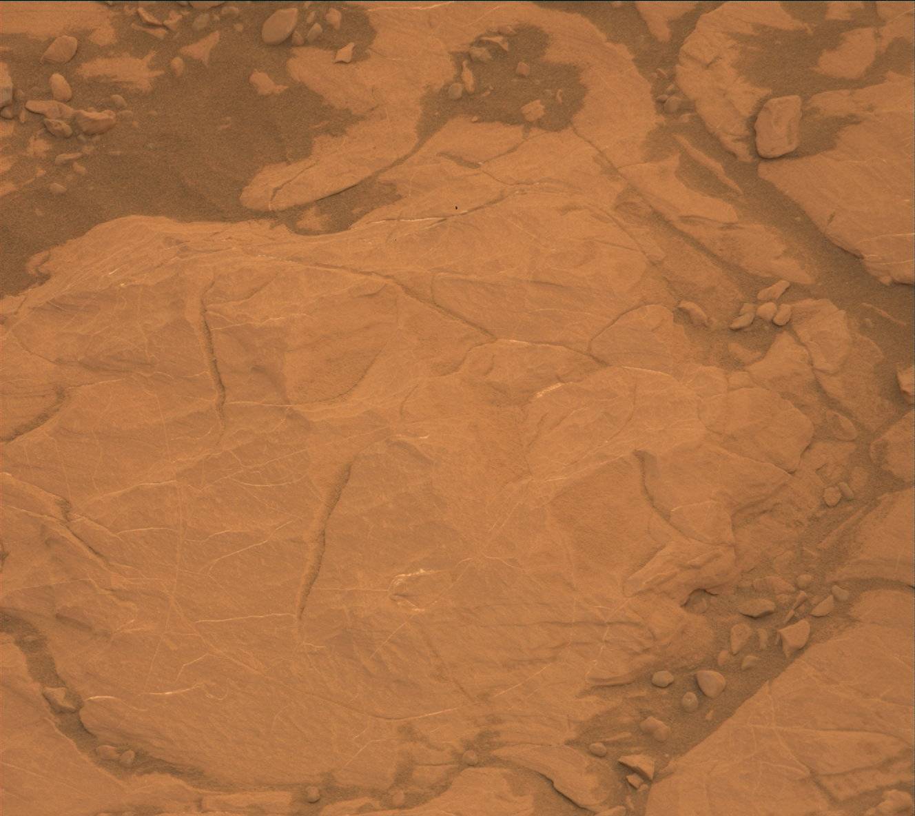 Nasa's Mars rover Curiosity acquired this image using its Mast Camera (Mastcam) on Sol 2109