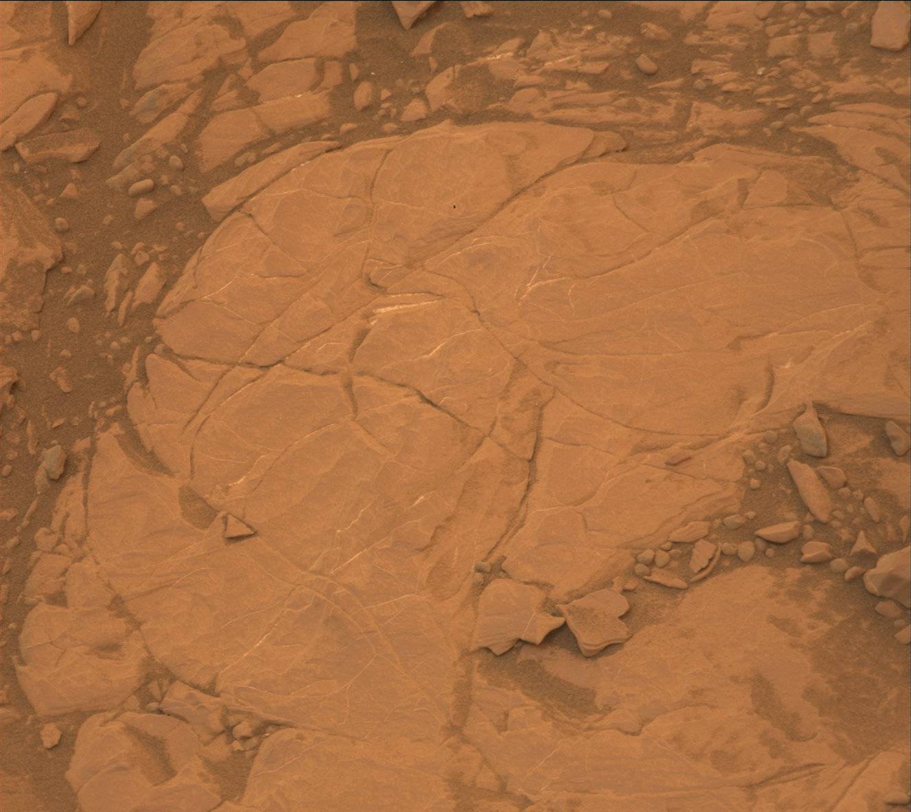 Nasa's Mars rover Curiosity acquired this image using its Mast Camera (Mastcam) on Sol 2111