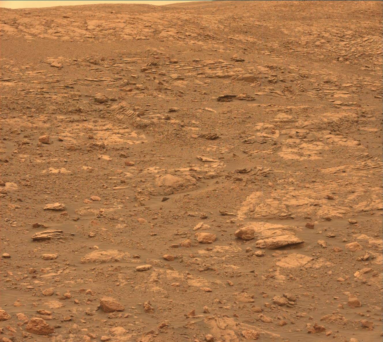 Nasa's Mars rover Curiosity acquired this image using its Mast Camera (Mastcam) on Sol 2116