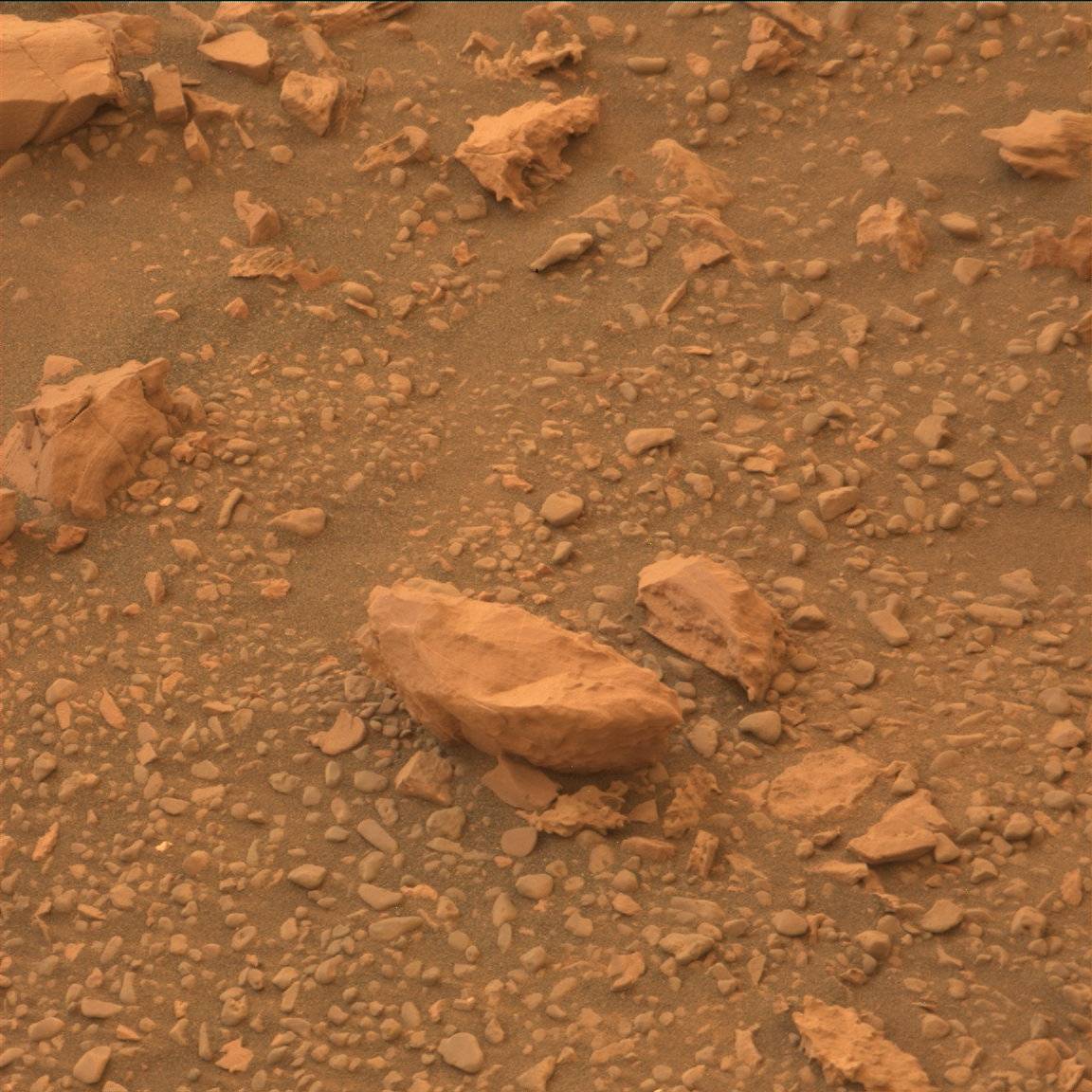 Nasa's Mars rover Curiosity acquired this image using its Mast Camera (Mastcam) on Sol 2116