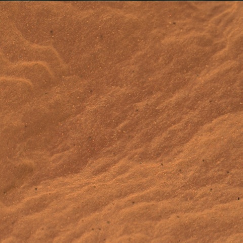 Nasa's Mars rover Curiosity acquired this image using its Mars Hand Lens Imager (MAHLI) on Sol 2119