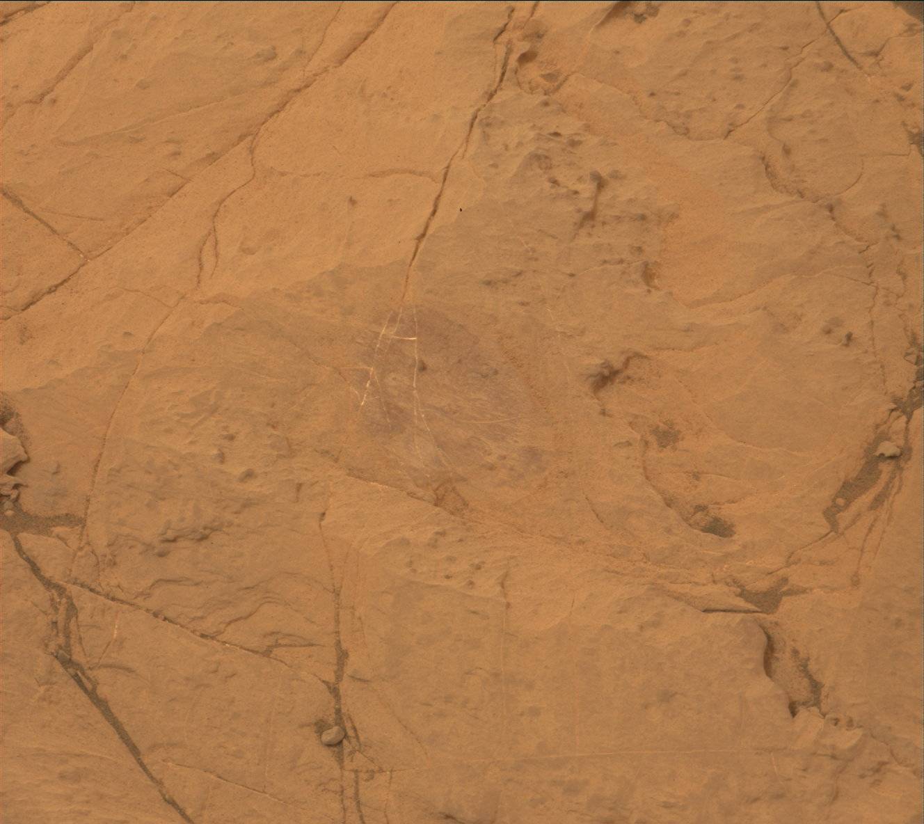 Nasa's Mars rover Curiosity acquired this image using its Mast Camera (Mastcam) on Sol 2121