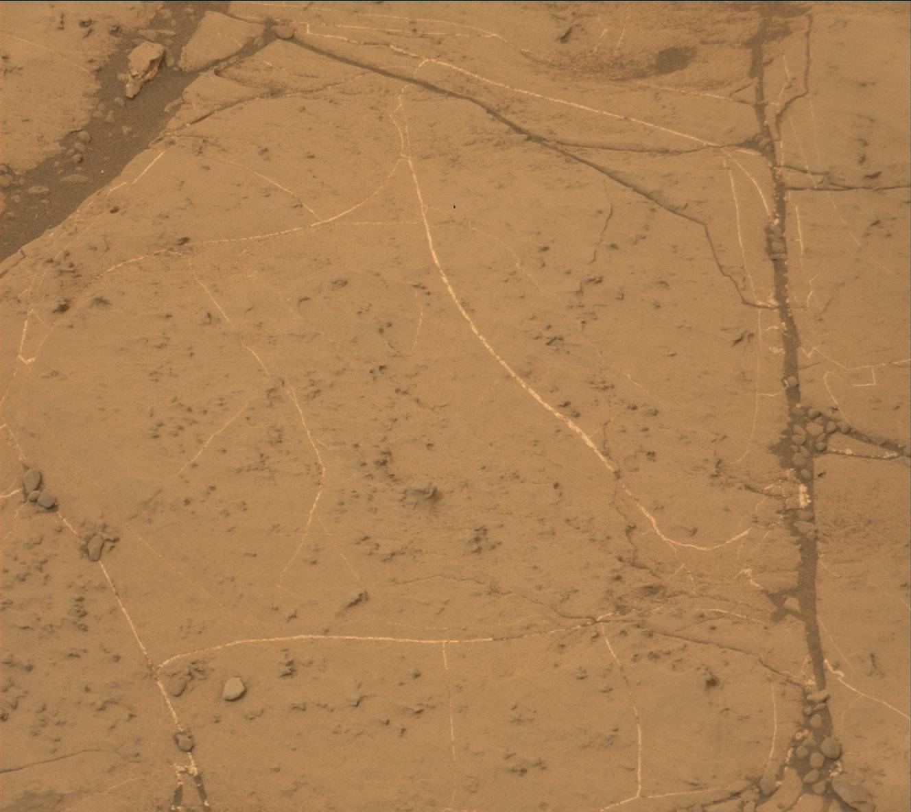 Nasa's Mars rover Curiosity acquired this image using its Mast Camera (Mastcam) on Sol 2135