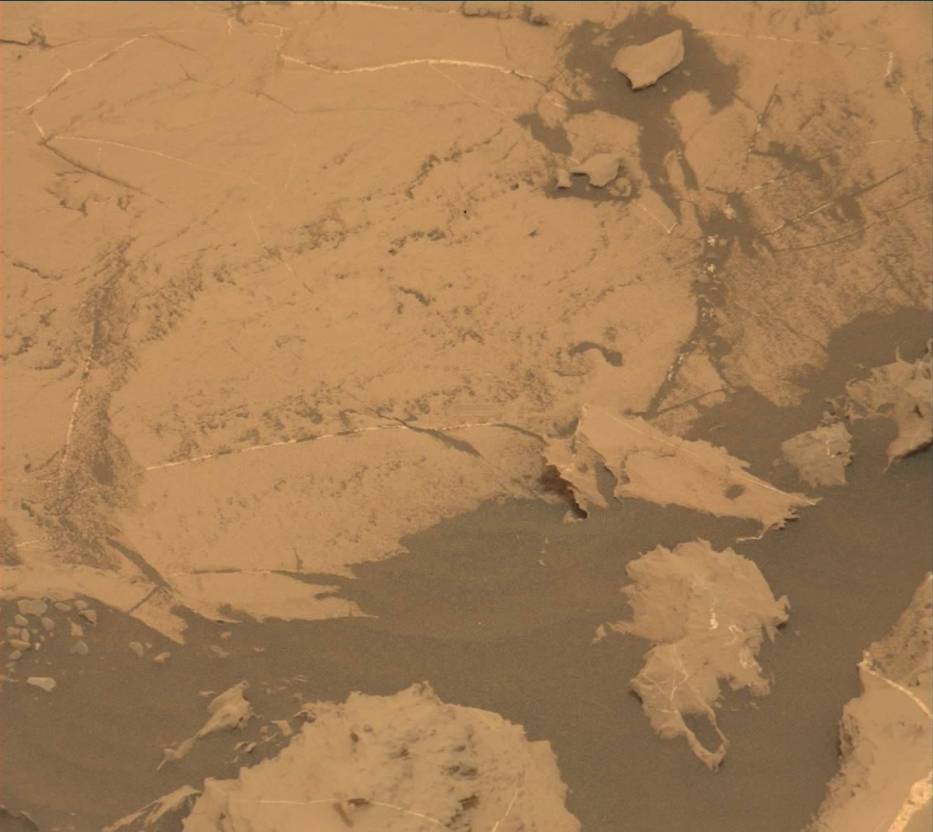 Nasa's Mars rover Curiosity acquired this image using its Mast Camera (Mastcam) on Sol 2142