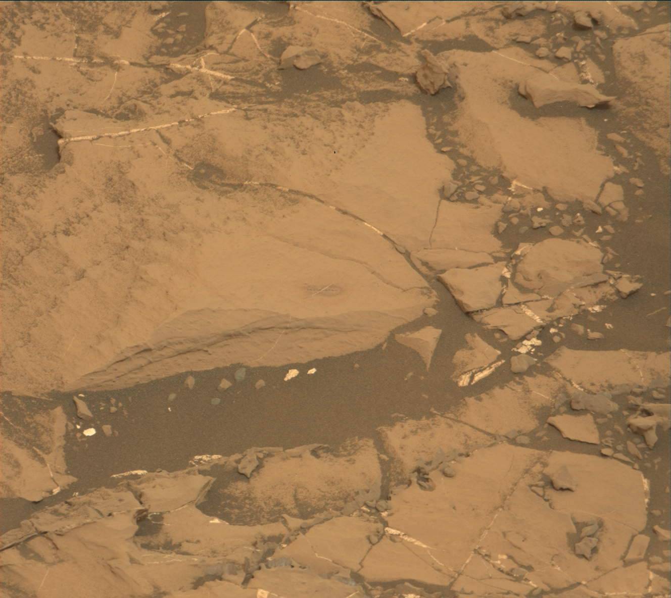 Nasa's Mars rover Curiosity acquired this image using its Mast Camera (Mastcam) on Sol 2142