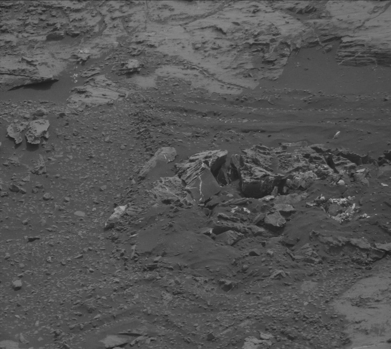 Nasa's Mars rover Curiosity acquired this image using its Mast Camera (Mastcam) on Sol 2147
