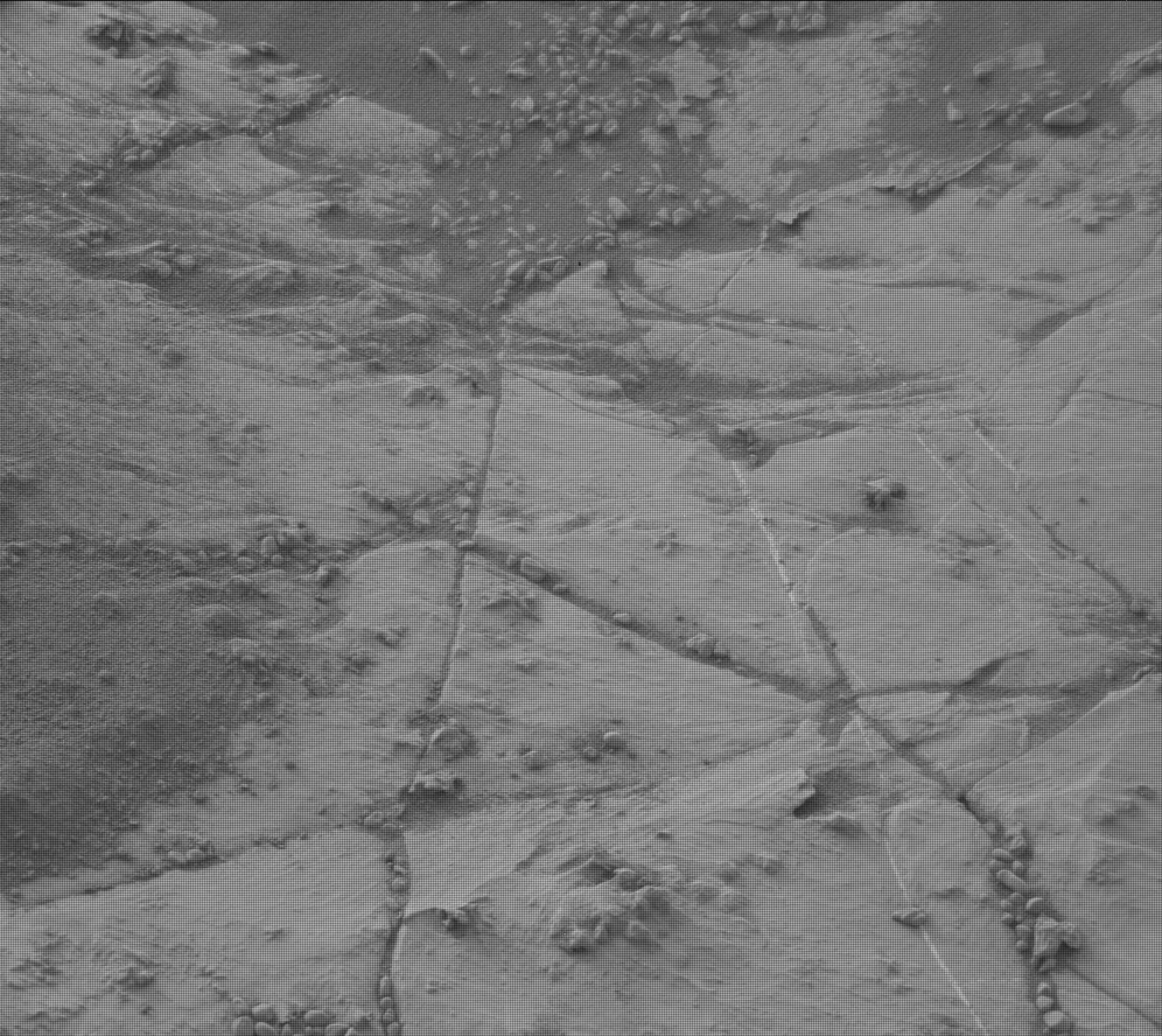 Nasa's Mars rover Curiosity acquired this image using its Mast Camera (Mastcam) on Sol 2155