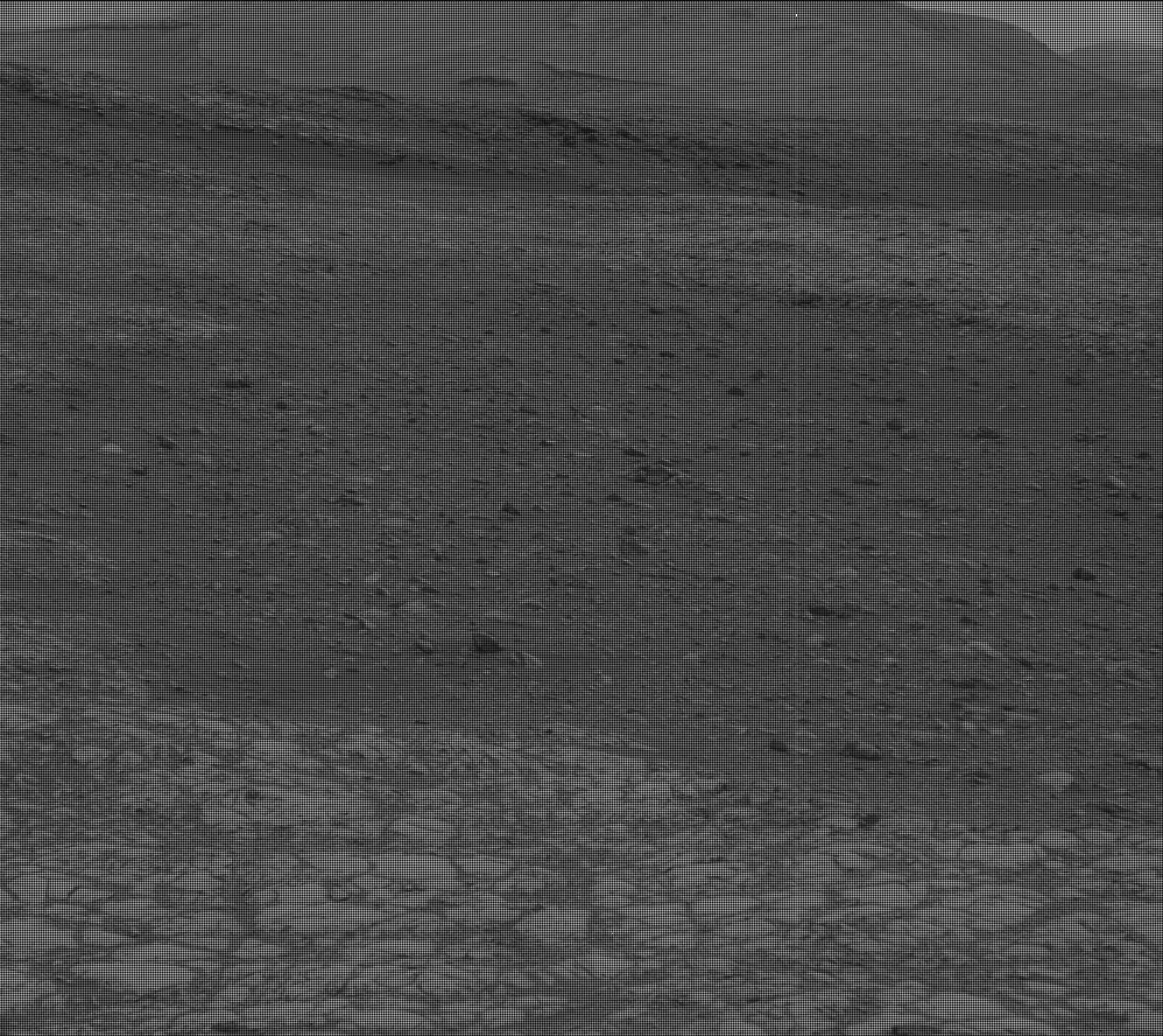 Nasa's Mars rover Curiosity acquired this image using its Mast Camera (Mastcam) on Sol 2160