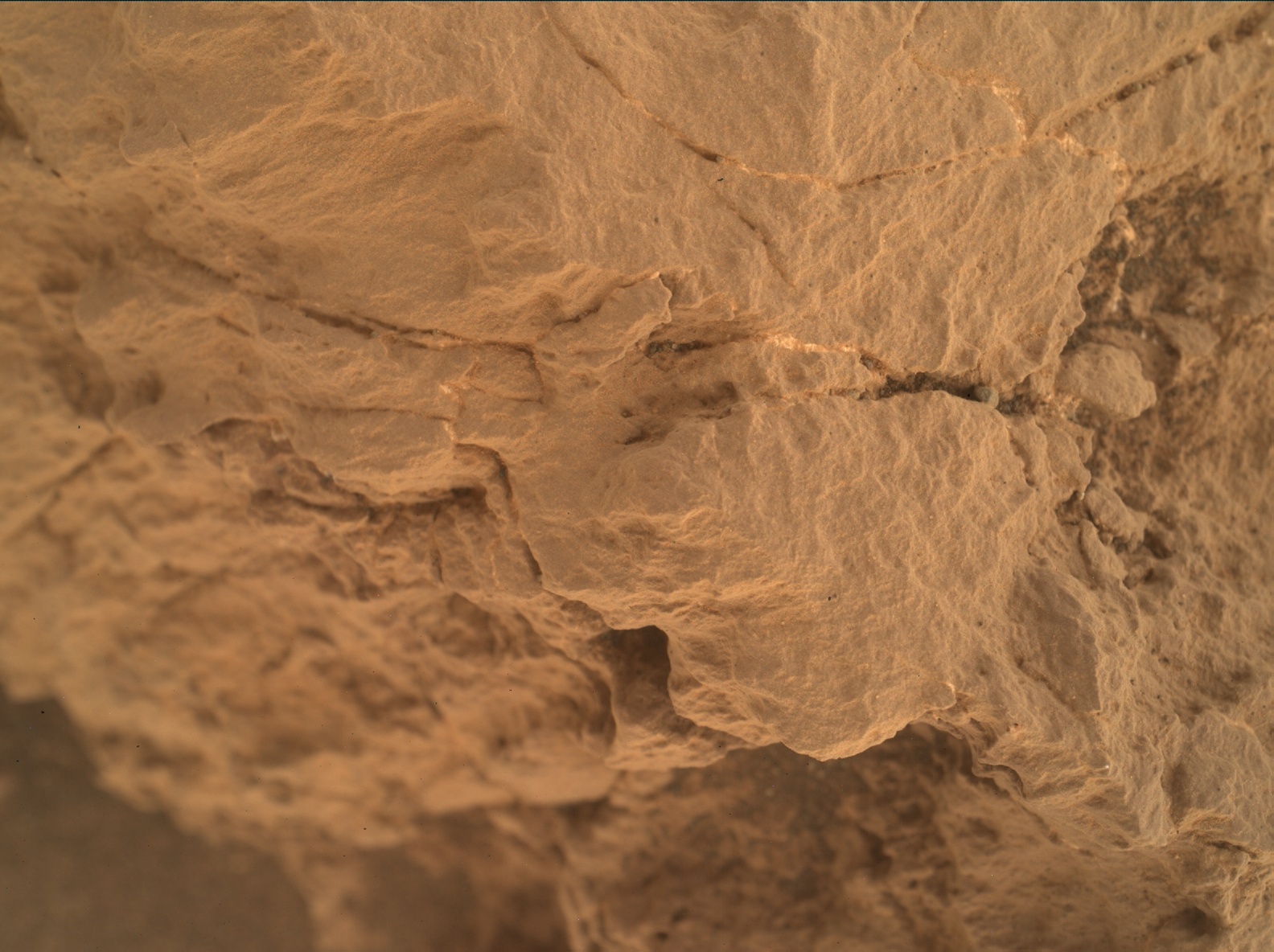 Nasa's Mars rover Curiosity acquired this image using its Mars Hand Lens Imager (MAHLI) on Sol 2161