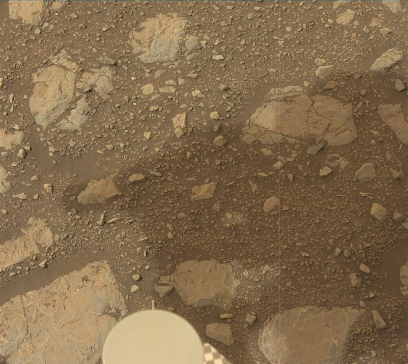 Nasa's Mars rover Curiosity acquired this image using its Mast Camera (Mastcam) on Sol 2166