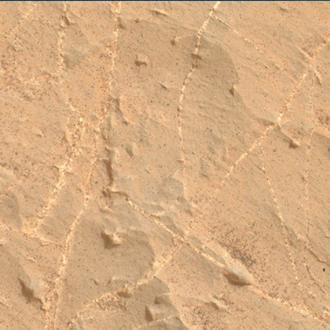 Nasa's Mars rover Curiosity acquired this image using its Mars Hand Lens Imager (MAHLI) on Sol 2168