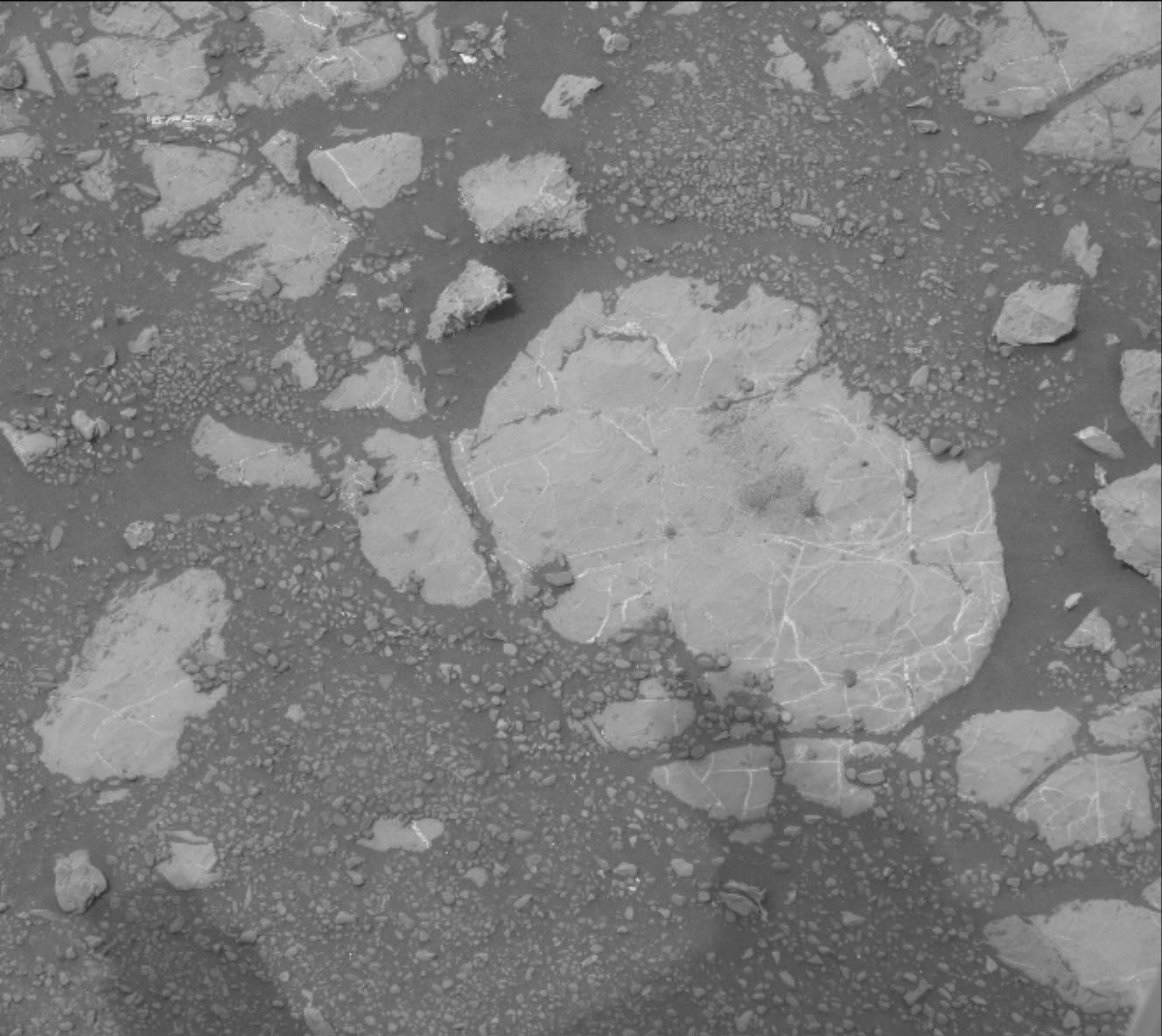 Nasa's Mars rover Curiosity acquired this image using its Mast Camera (Mastcam) on Sol 2169