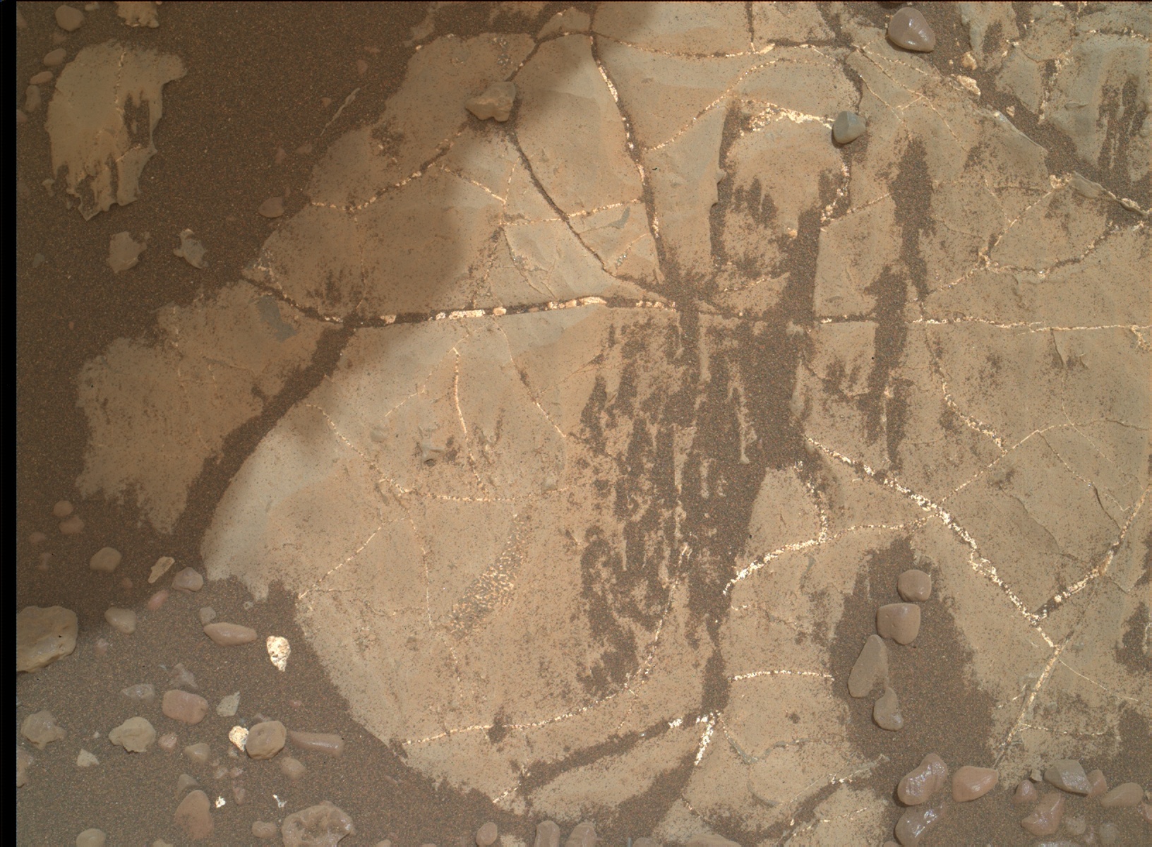 Nasa's Mars rover Curiosity acquired this image using its Mars Hand Lens Imager (MAHLI) on Sol 2170