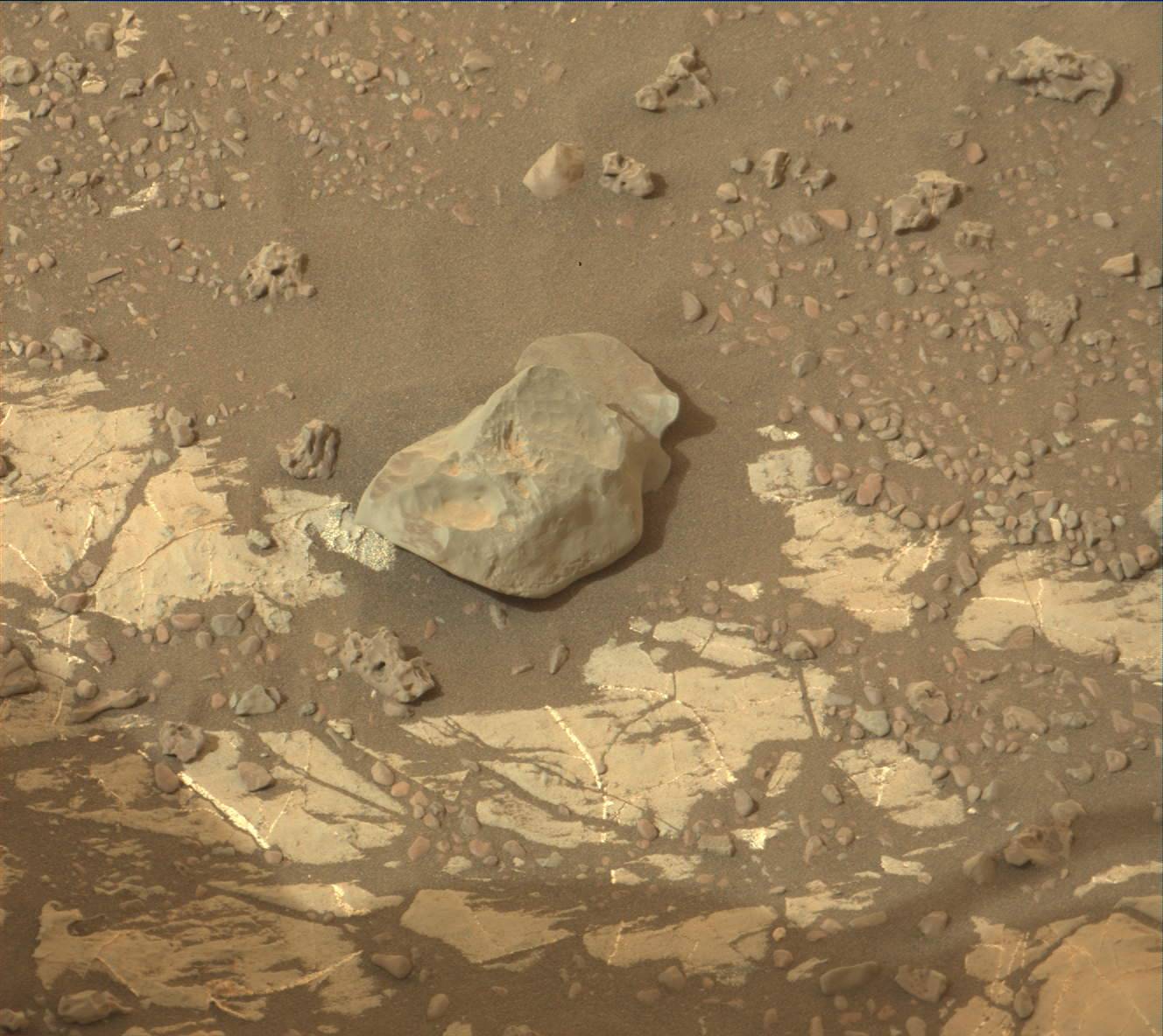 Nasa's Mars rover Curiosity acquired this image using its Mast Camera (Mastcam) on Sol 2173