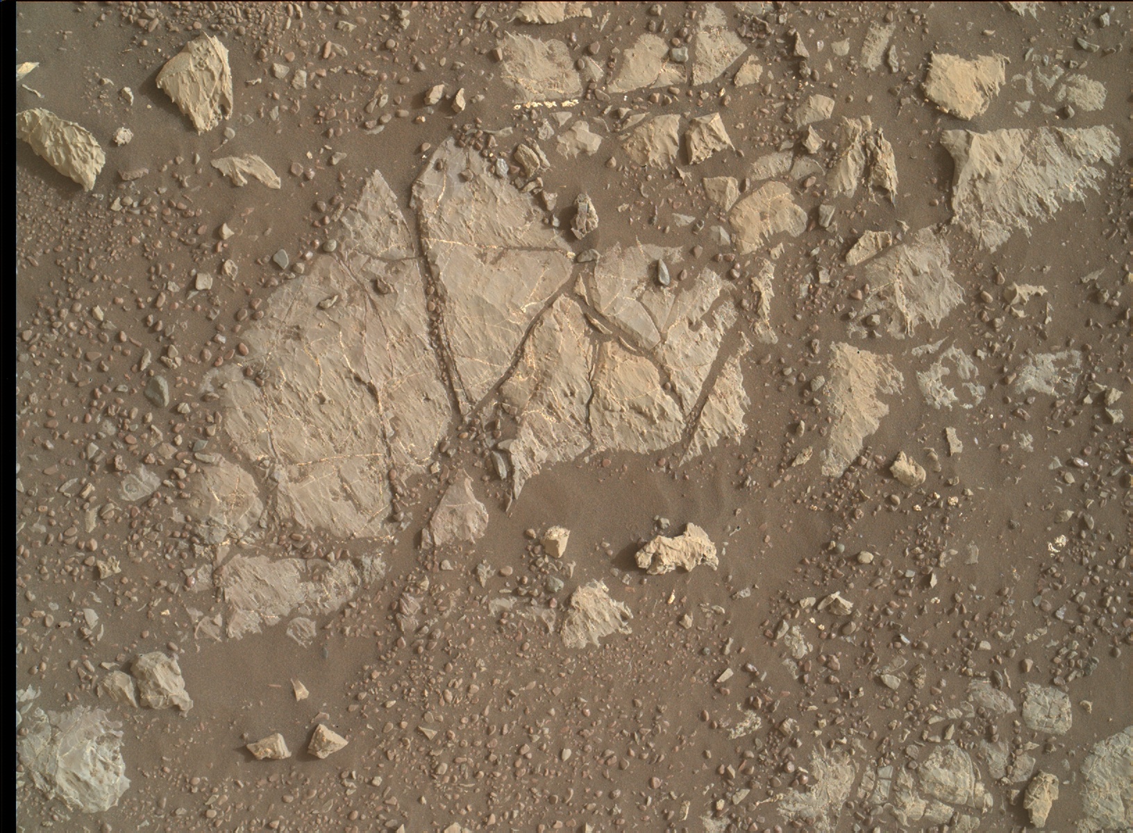 Nasa's Mars rover Curiosity acquired this image using its Mars Hand Lens Imager (MAHLI) on Sol 2216