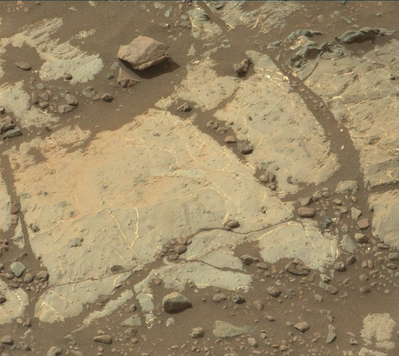 Nasa's Mars rover Curiosity acquired this image using its Mast Camera (Mastcam) on Sol 2217