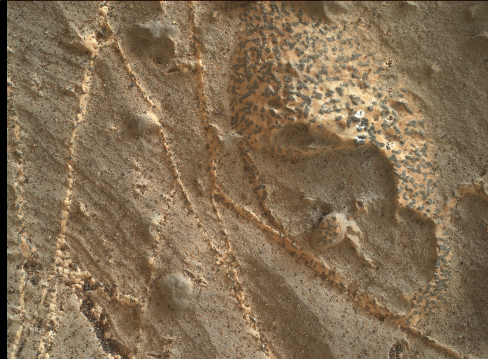 Nasa's Mars rover Curiosity acquired this image using its Mars Hand Lens Imager (MAHLI) on Sol 2217