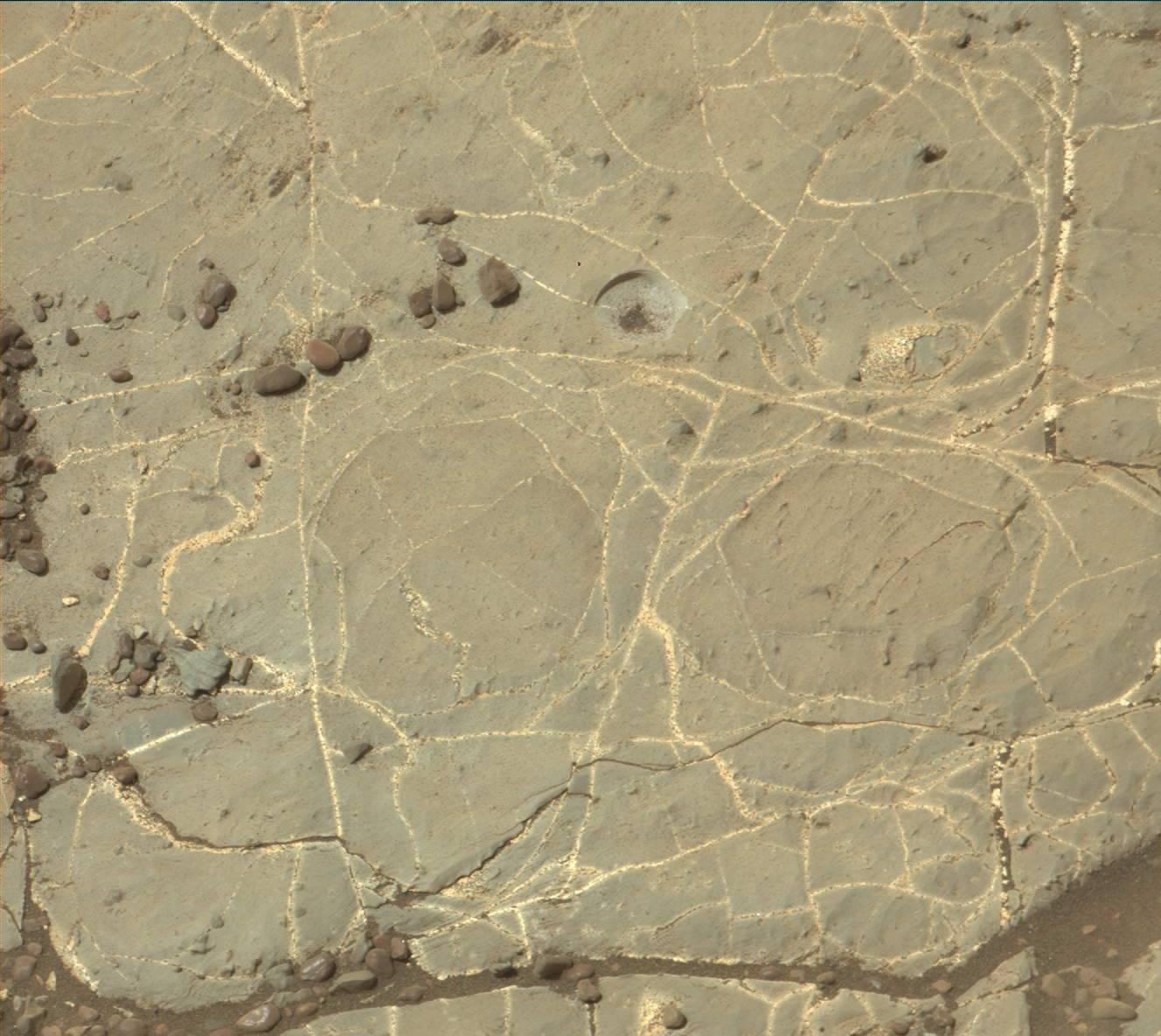 Nasa's Mars rover Curiosity acquired this image using its Mast Camera (Mastcam) on Sol 2218