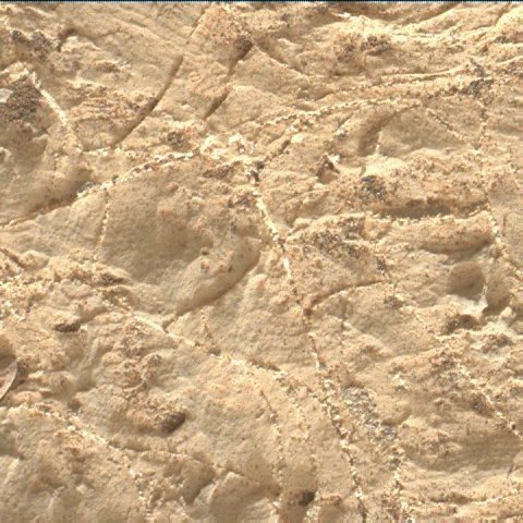 Nasa's Mars rover Curiosity acquired this image using its Mars Hand Lens Imager (MAHLI) on Sol 2220