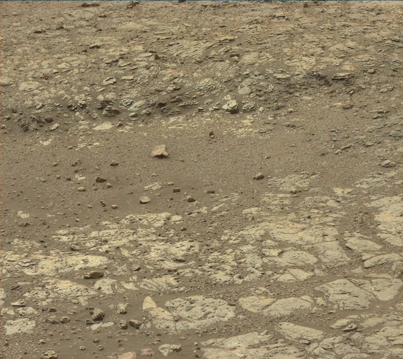 Nasa's Mars rover Curiosity acquired this image using its Mast Camera (Mastcam) on Sol 2221