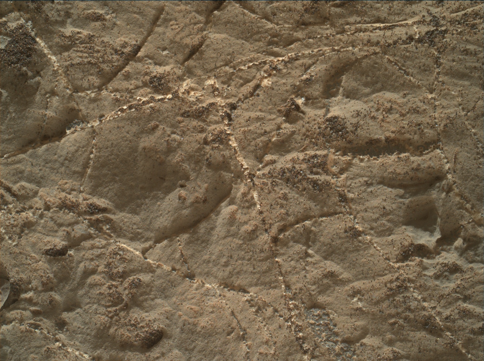 Nasa's Mars rover Curiosity acquired this image using its Mars Hand Lens Imager (MAHLI) on Sol 2221