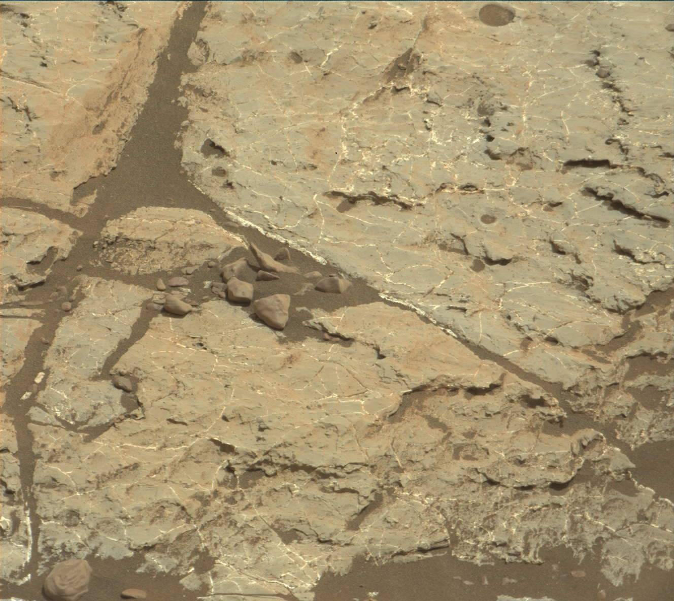 Nasa's Mars rover Curiosity acquired this image using its Mast Camera (Mastcam) on Sol 2222