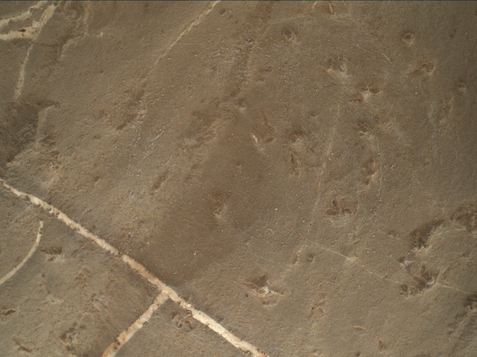 Nasa's Mars rover Curiosity acquired this image using its Mars Hand Lens Imager (MAHLI) on Sol 2223