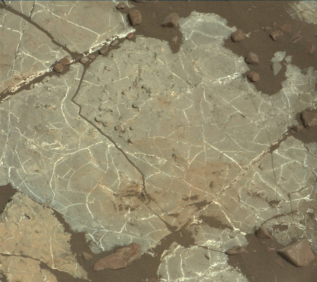 Nasa's Mars rover Curiosity acquired this image using its Mast Camera (Mastcam) on Sol 2224
