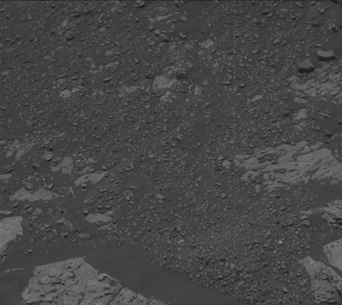Nasa's Mars rover Curiosity acquired this image using its Mast Camera (Mastcam) on Sol 2229