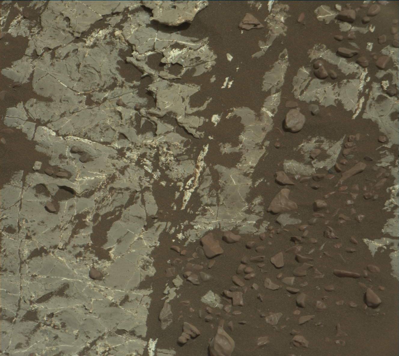 Nasa's Mars rover Curiosity acquired this image using its Mast Camera (Mastcam) on Sol 2232