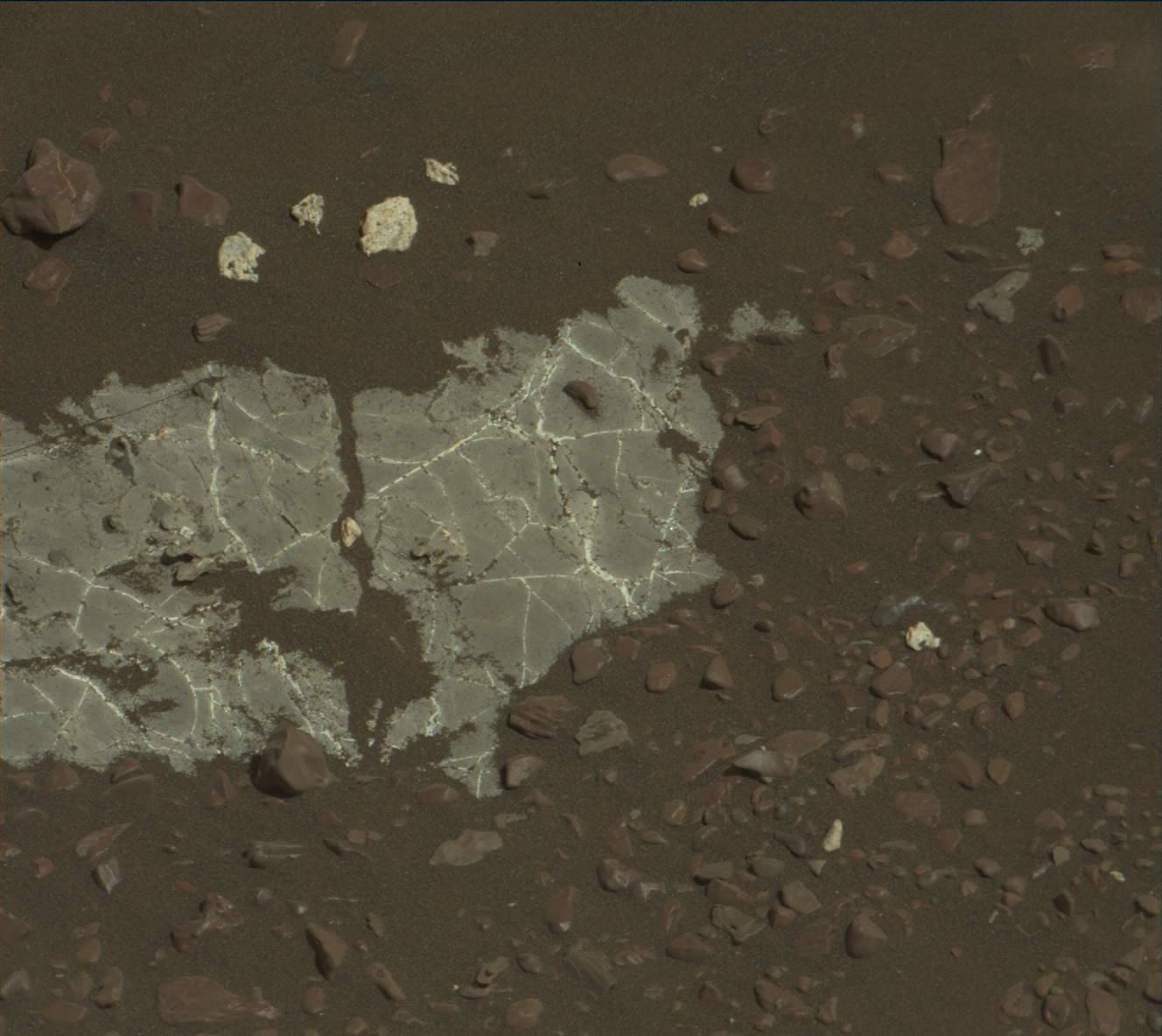 Nasa's Mars rover Curiosity acquired this image using its Mast Camera (Mastcam) on Sol 2232