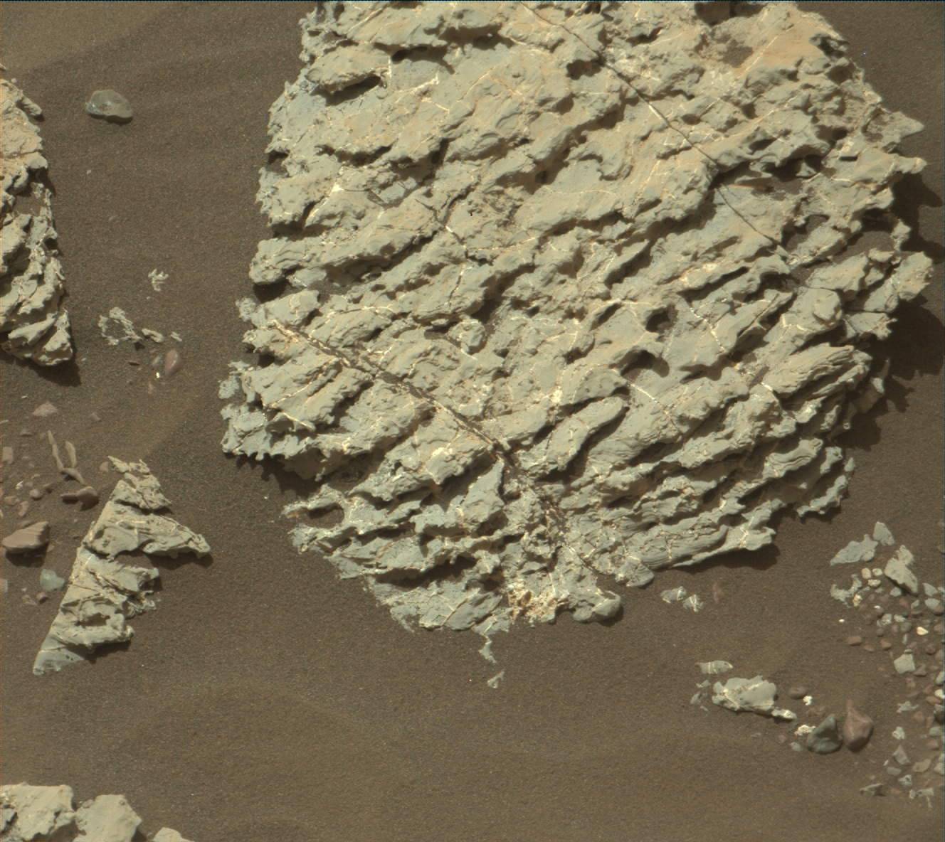 Nasa's Mars rover Curiosity acquired this image using its Mast Camera (Mastcam) on Sol 2233