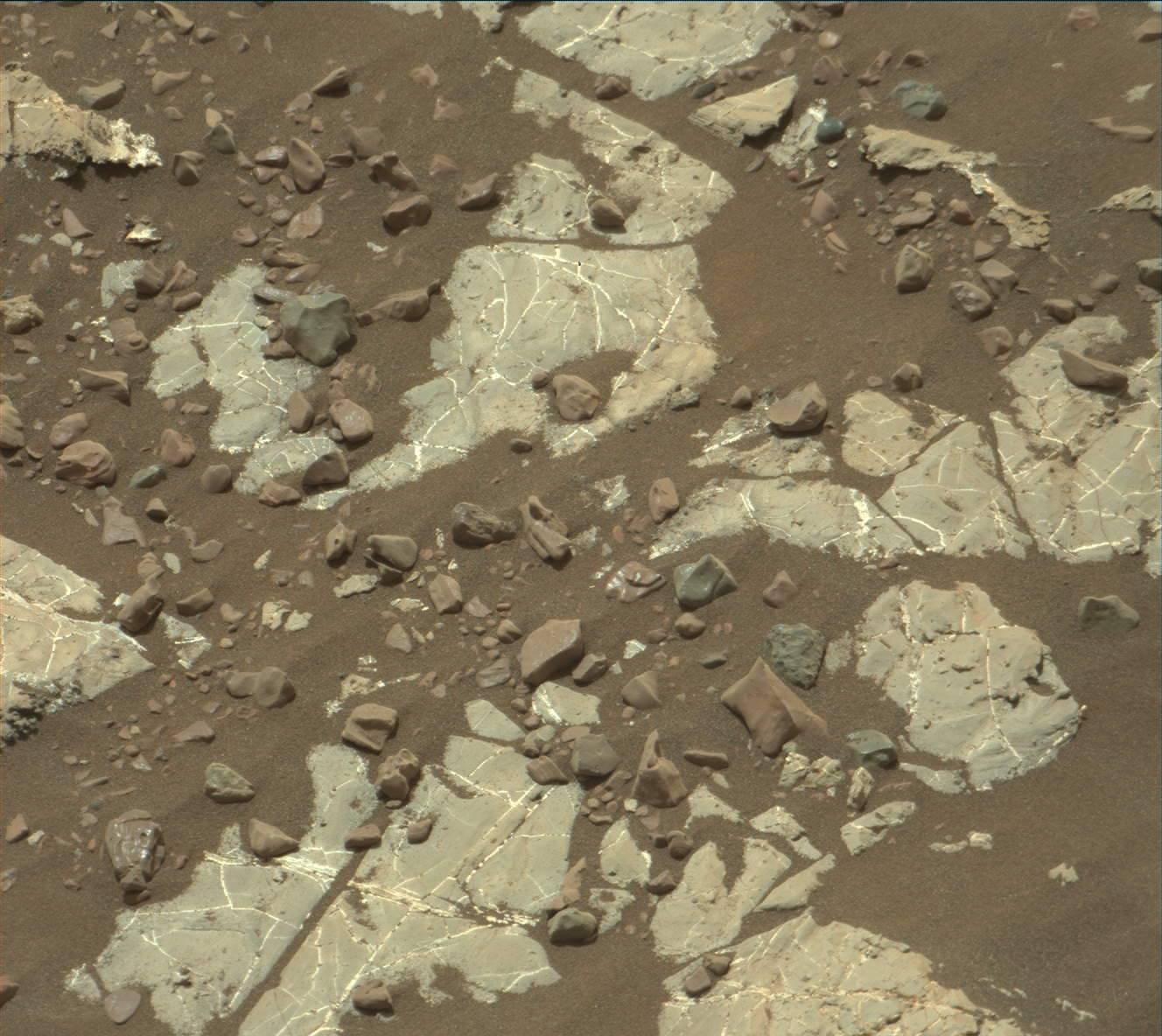 Nasa's Mars rover Curiosity acquired this image using its Mast Camera (Mastcam) on Sol 2238