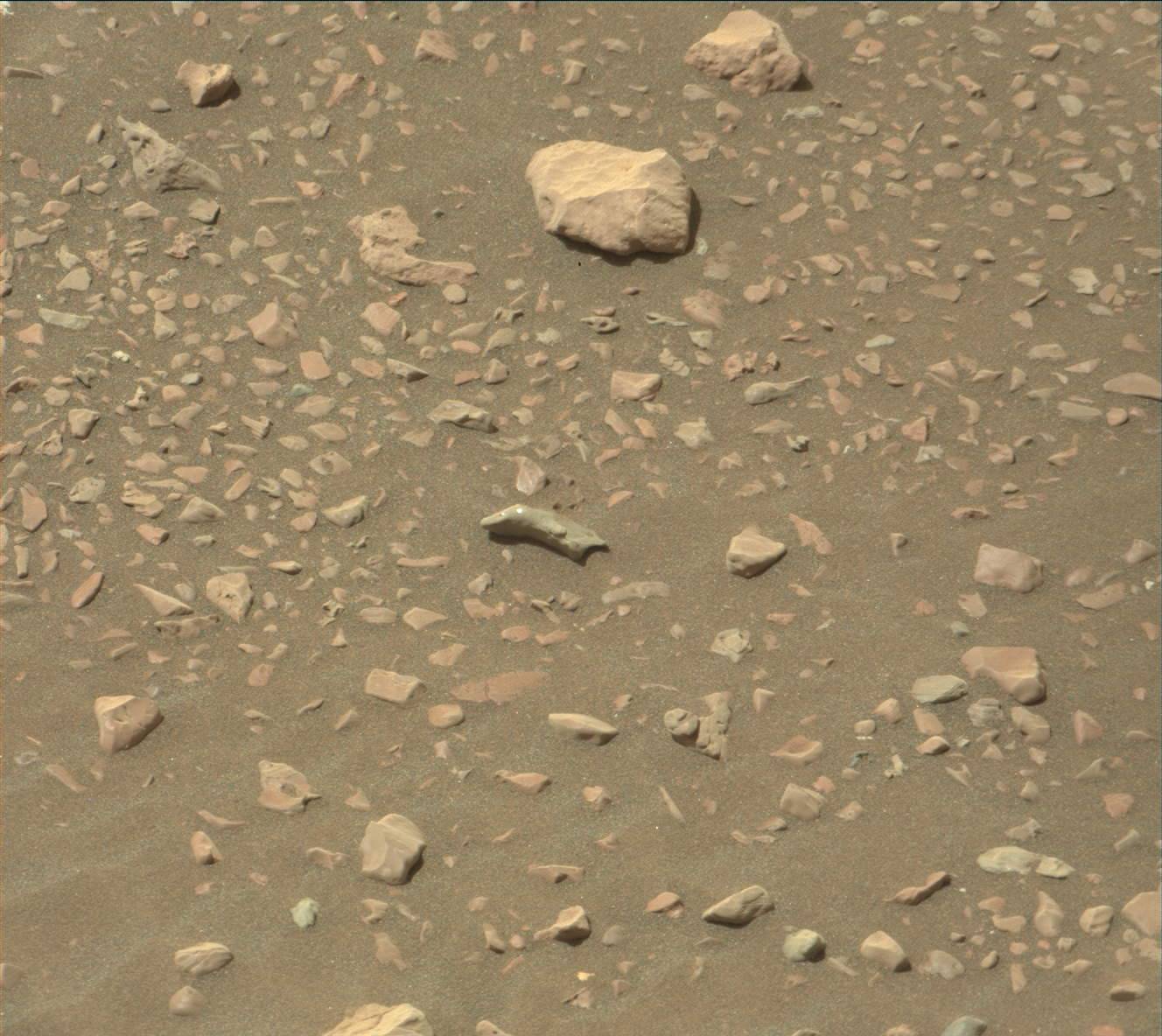 Nasa's Mars rover Curiosity acquired this image using its Mast Camera (Mastcam) on Sol 2244