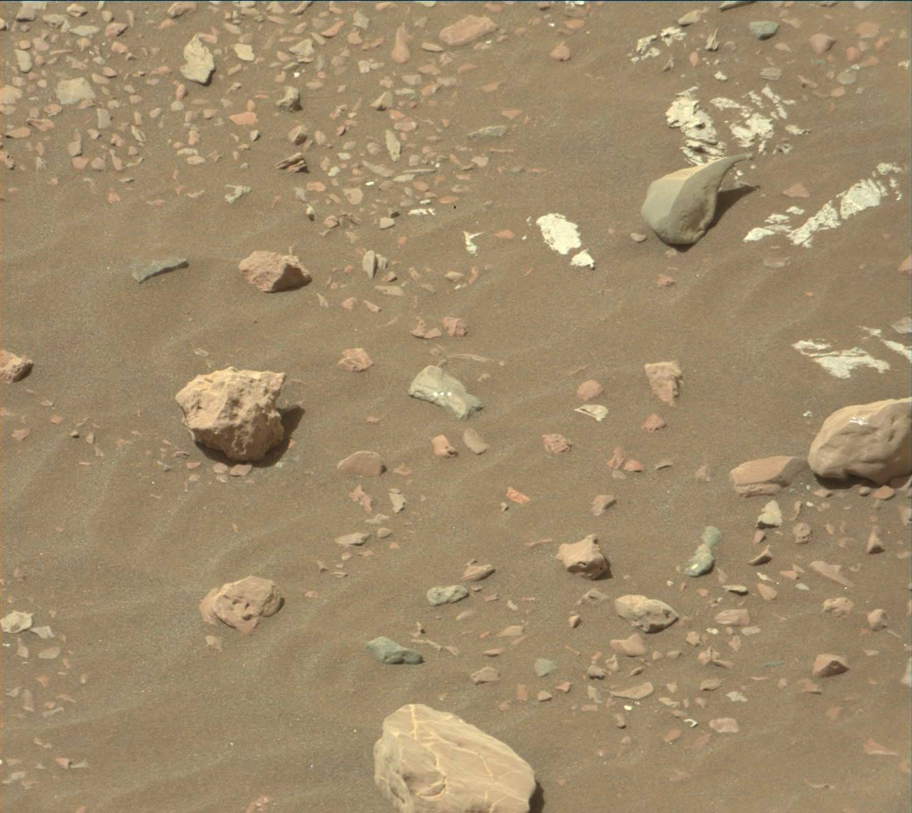Nasa's Mars rover Curiosity acquired this image using its Mast Camera (Mastcam) on Sol 2245