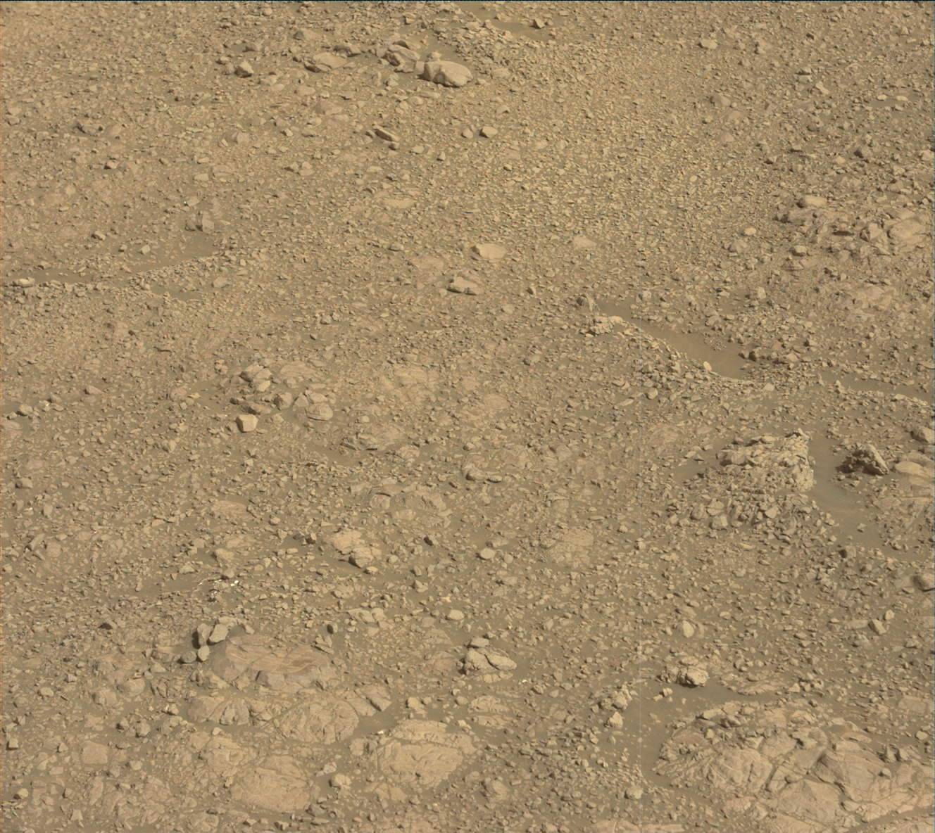 Nasa's Mars rover Curiosity acquired this image using its Mast Camera (Mastcam) on Sol 2250